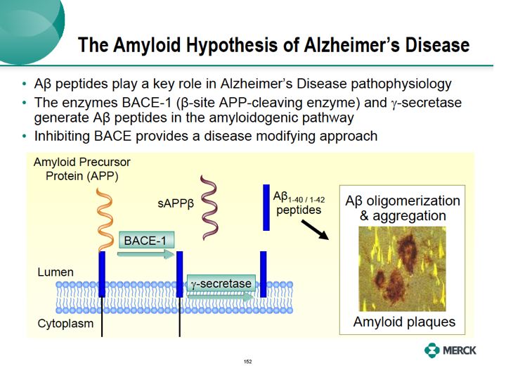 merck alzheimer's disease bace beta secretase